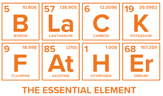 Black Father The Essential Element